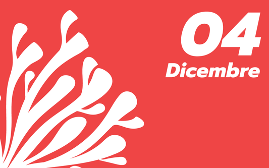 04 Dicembre