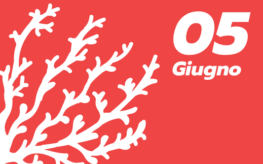 05 Giugno